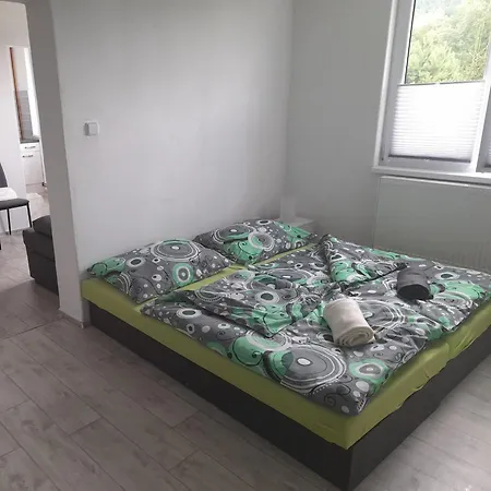 Apartment Ubytovani Na Sumave Horni Vltavice